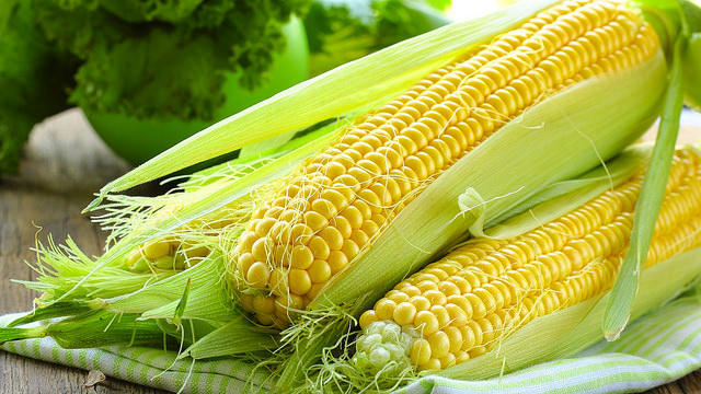 corn - newstamilonline