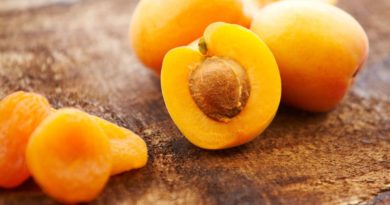 apricots-newstamilonline