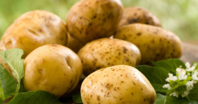 Potato - newstamilonline