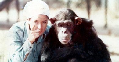 movie review lucy the human chimp - newstamilonline.jpg