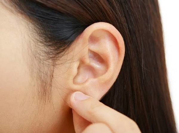 How the ear works - newstamilonline