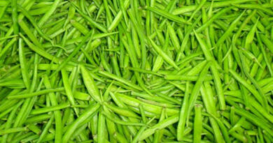 Cluster beans benefits