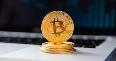 El salvador currency Bitcoin new