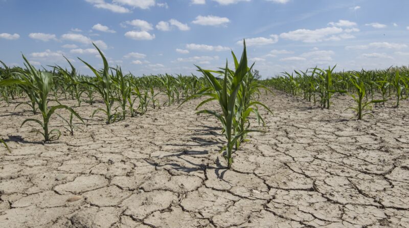 Climate Change Crop Production