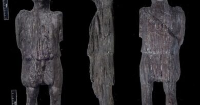 Roman Wooden Statue Found newstamilonline