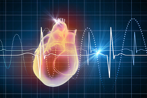 Why Heart Beat Increases