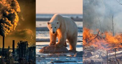 What are the Effects of Climate Change